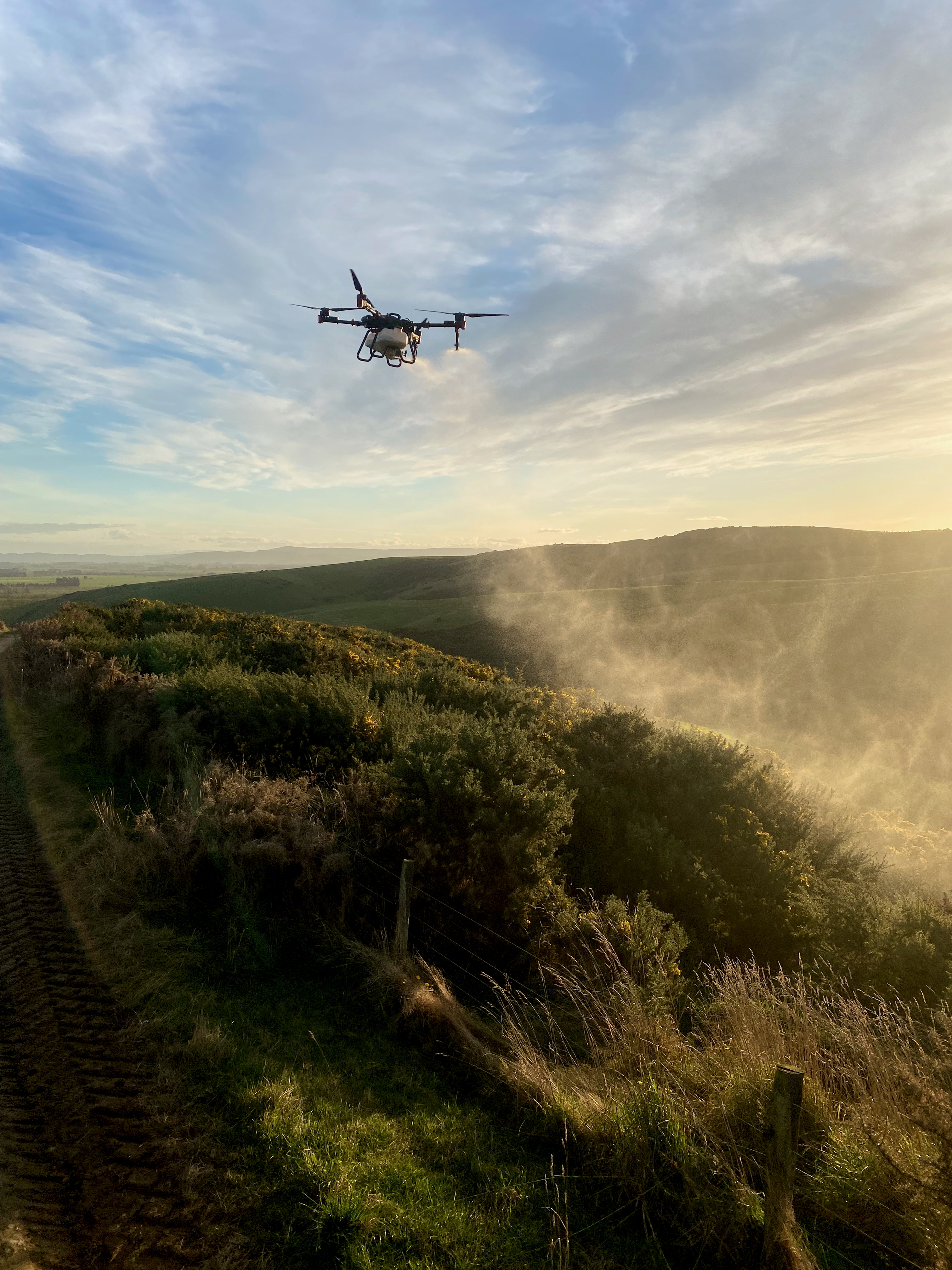 Drone spraying over gorse hillside